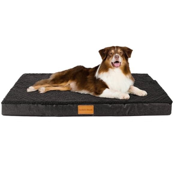 Orthopedic Pet Bed for Medium Dogs 36"X24" Black Dog Bed Removable Washable Cove - Picture 1 of 7